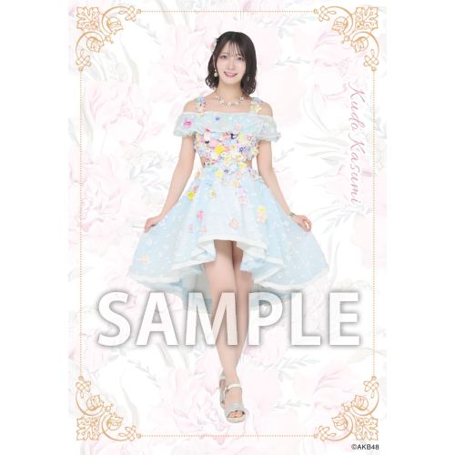 予約商品】AKB48 2026年5月度 net shop限定個別生写真5枚セットvol.2