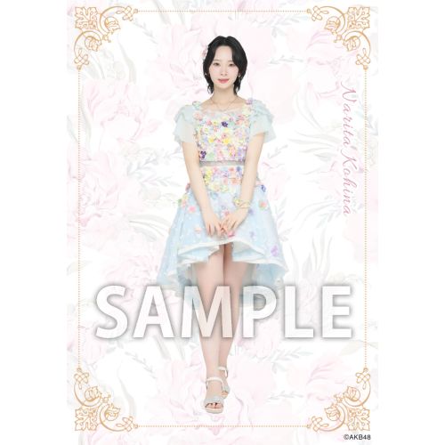 予約商品】AKB48 2026年5月度 net shop限定個別生写真5枚セットvol.2