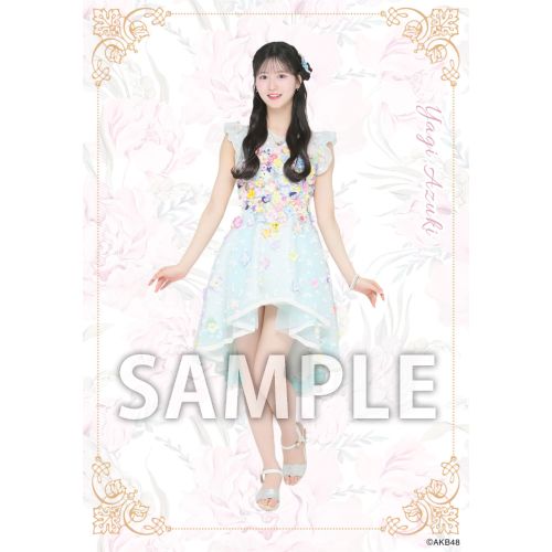 AKB48 2026年2月度netshop限定 ランダム生写真 　八木愛月 予約商品】AKB48 2026年5月度 net shop限定個別生写真5枚セットvol.2
