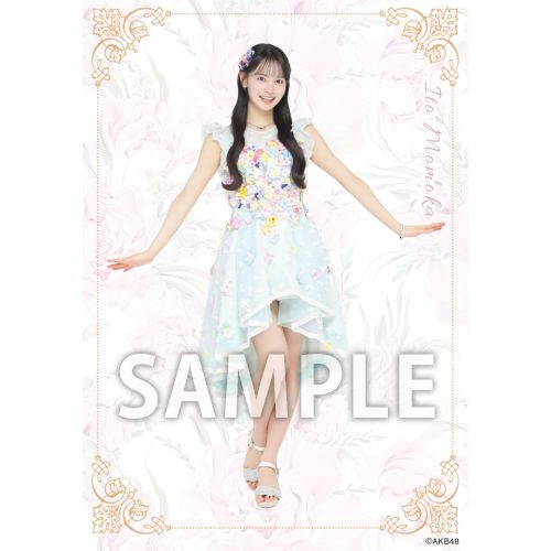 予約商品】AKB48 2026年5月度 net shop限定個別生写真5枚セットvol.2