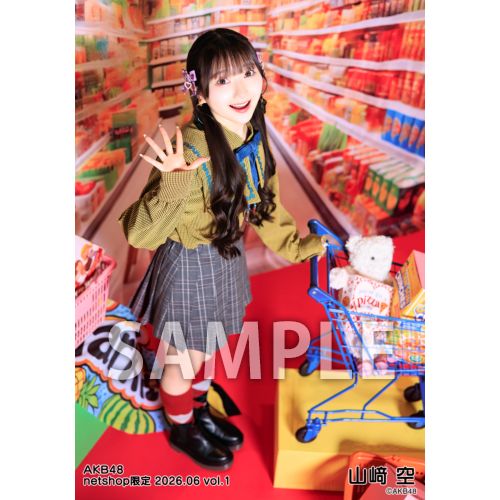予約商品】AKB48 2026年6月度 net shop限定個別生写真5枚セットvol.1