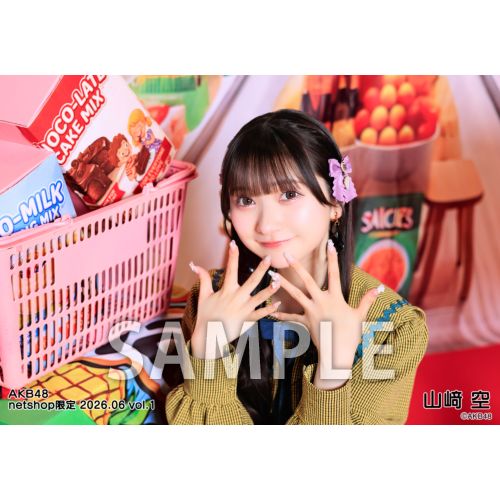 予約商品】AKB48 2026年6月度 net shop限定個別生写真5枚セットvol.1