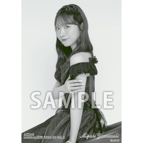 予約商品】AKB48 2026年6月度 net shop限定個別生写真5枚セットvol.2
