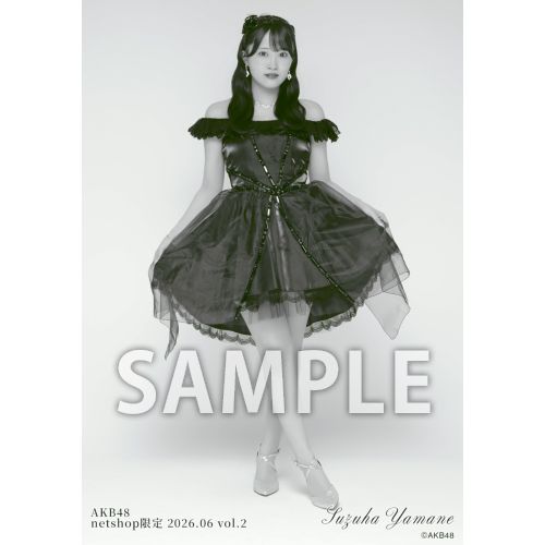 予約商品】AKB48 2026年6月度 net shop限定個別生写真5枚セットvol.2