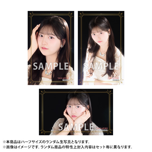 AKB48 スリーブコレクション　新品未開封　6種セット 予約商品】AKB48 2026年8月度 net shop限定PhotoEightランダム5枚