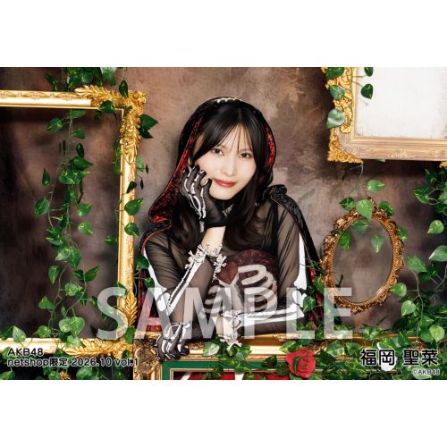 AKB48 オフィシャルトレーディングカード　Vol.2 31枚　最終値下げ AKB48 オフィシャルトレーディングカード Vol.2 31枚 最終値下げ AKB48