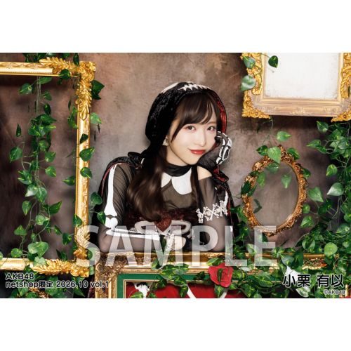予約商品】AKB48 2026年10月度 net shop限定個別生写真5枚セットvol.1