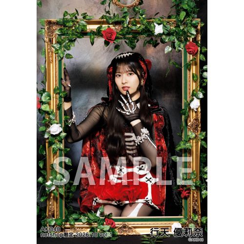 予約商品】AKB48 2026年10月度 net shop限定個別生写真5枚セットvol.1