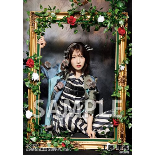 予約商品】AKB48 2026年10月度 net shop限定個別生写真5枚セットvol.1