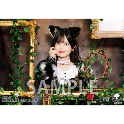 予約商品】AKB48 2026年10月度 net shop限定個別生写真5枚セットvol.1