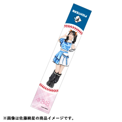 AKB48 マフラータオル In National Stadium AK-009-2608-92194_p02_500.jpg