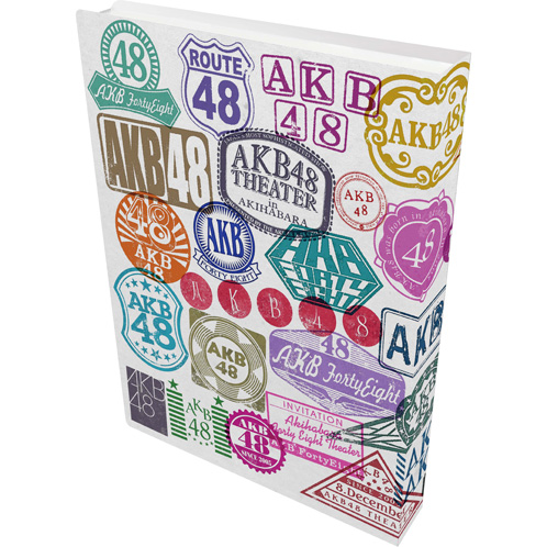 AKB48 TeamSURPRISE パチンコ クリアファイル 13枚セット AKB48 TeamSURPRISE パチンコ クリアファイル 13枚セット チーム