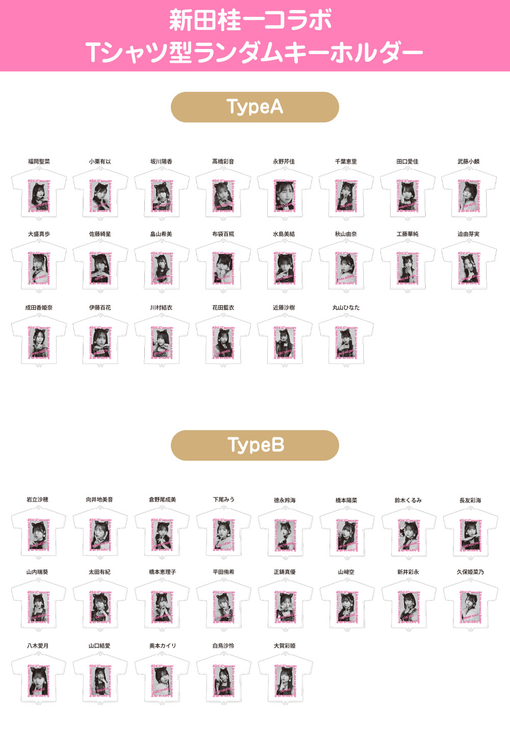 新田桂一コラボ Tシャツ型ランダムキーホルダー | AKB48 Official Shop