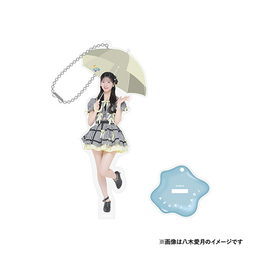 予約商品】AKB48 アンブレラ アクリルスタンドキーホルダー | AKB48