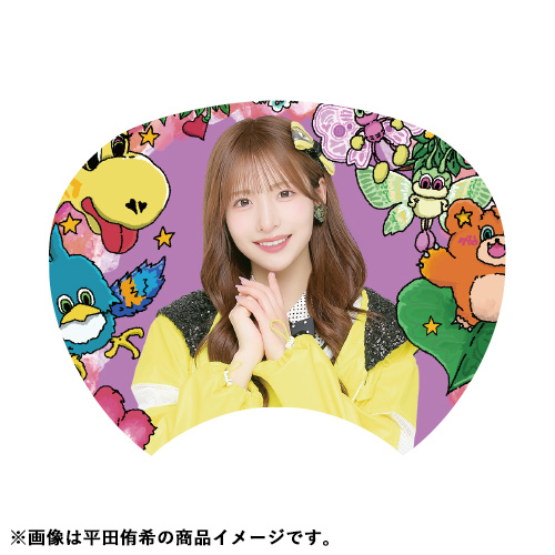 AKBの限定うちわ AKBの限定うちわ