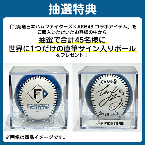 予約商品】北海道日本ハムファイターズ×AKB48 コラボ BIGうちわ