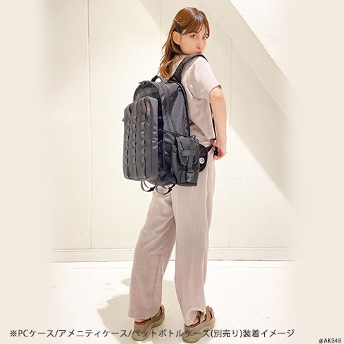 予約商品】AKB48 モジュール式多機能アイテムシリーズ オリジナル 