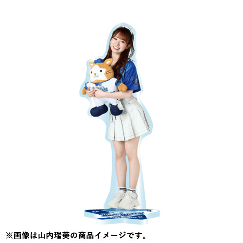 予約商品】横浜DeNAベイスターズ×AKB48 コラボ アクリルスタンド