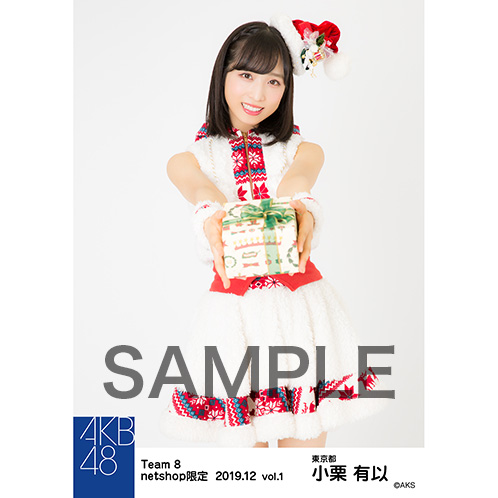 AKB48 チーム8 2019年12月度 net shop限定個別生写真5枚セットvol.1