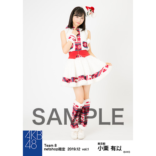 AKB48 チーム8 2019年12月度 net shop限定個別生写真5枚セットvol.1