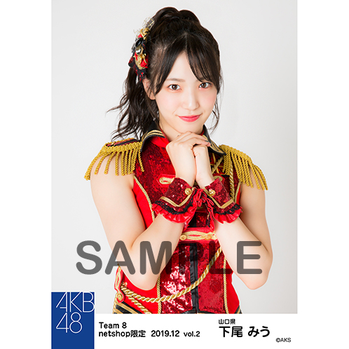AKB48 チーム8 生写真セット 約500枚 AKB48 チーム8 net shop限定 7周年記念個別生写真5枚セット