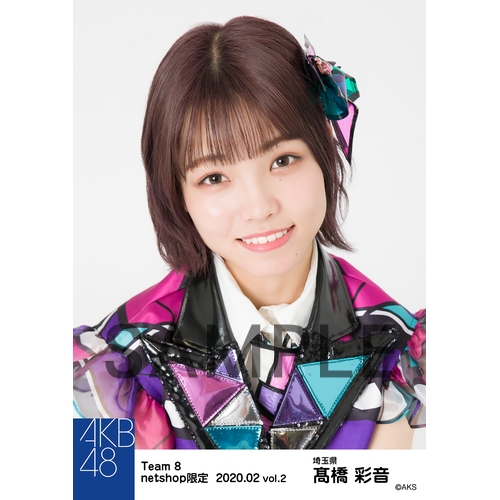 AKB48 チーム8 生写真セット 約500枚 T8-003-2008-04544_p01_500.jpg