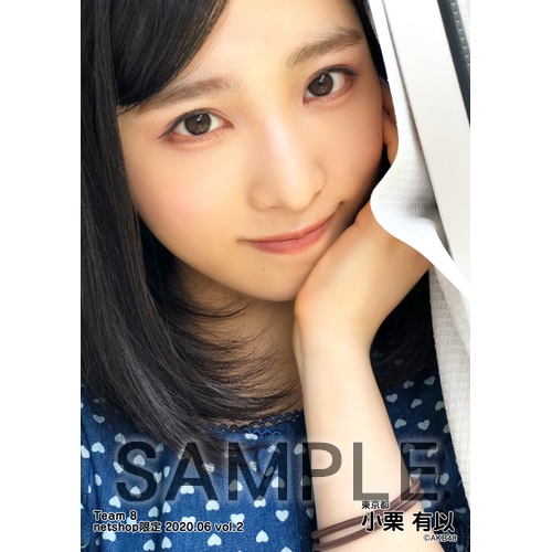 AKB48 チーム8 2020年6月度 net shop限定個別生写真5枚セットvol.2