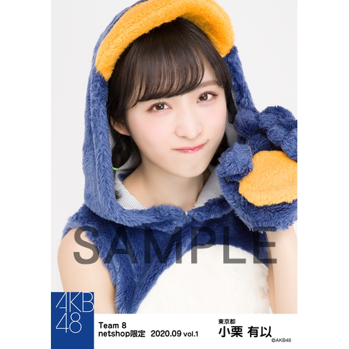 AKB48 チーム8 2020年9月度 net shop限定個別生写真5枚セットvol.1
