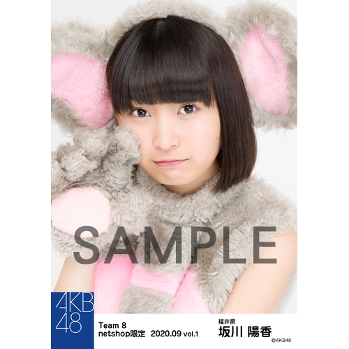 AKB48 チーム8 生写真セット 約500枚 AKB48 チーム8 2021年度個別生