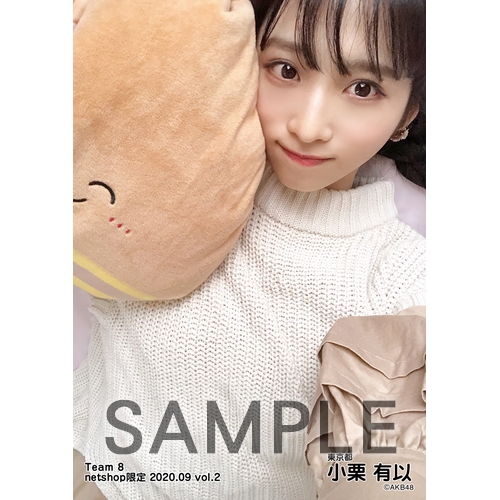 AKB48 チーム8 2020年9月度 net shop限定個別生写真5枚セットvol.2