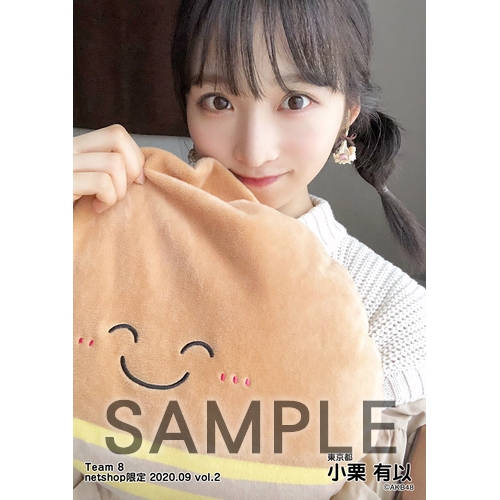 AKB48 チーム8 2020年9月度 net shop限定個別生写真5枚セットvol.2