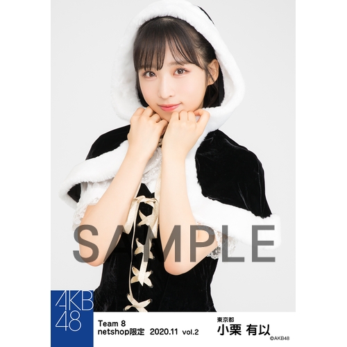 AKB48 チーム8 2020年11月度 net shop限定個別生写真5枚セットvol.2