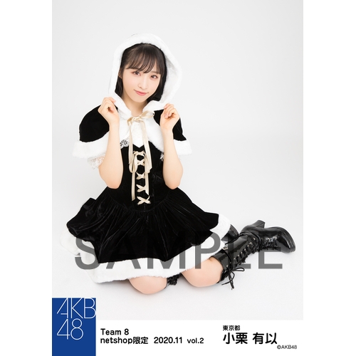 AKB48 チーム8 2020年11月度 net shop限定個別生写真5枚セットvol.2