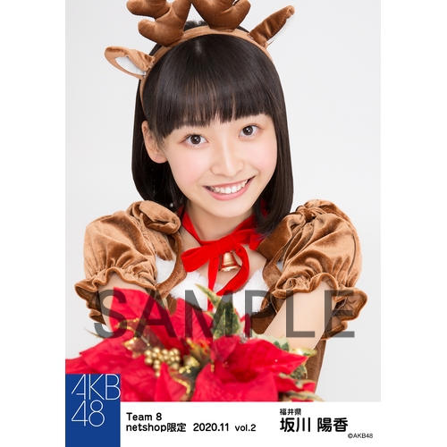 AKB48 チーム8 生写真セット 約500枚 AKB48 チーム8 2020年8月度 net shop限定個別生写真5枚セットvol