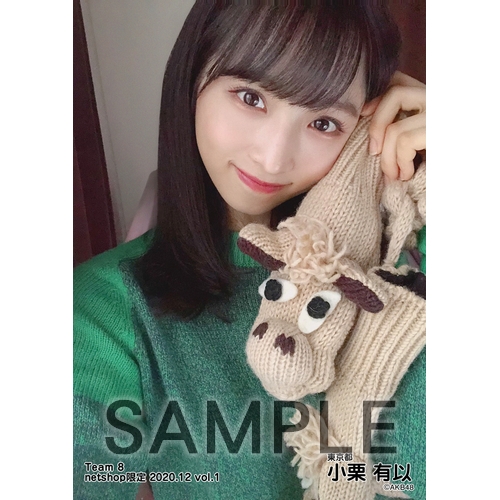AKB チーム8 通常 生写真 ① AKB48 チーム8 2020年12月度 net shop限定個別生写真5枚セット