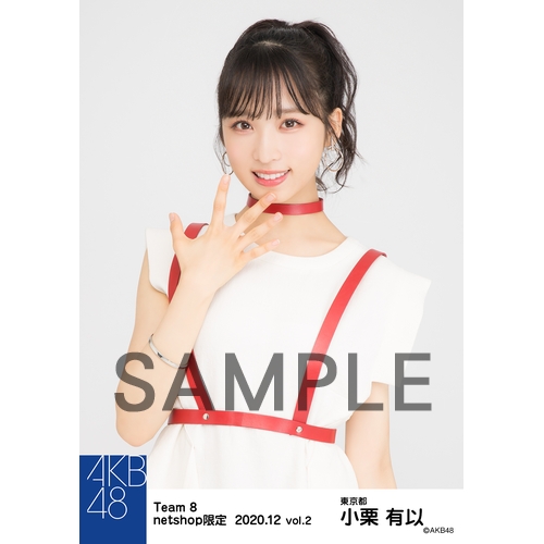 AKB48 チーム8 2020年12月度 net shop限定個別生写真5枚セットvol.2