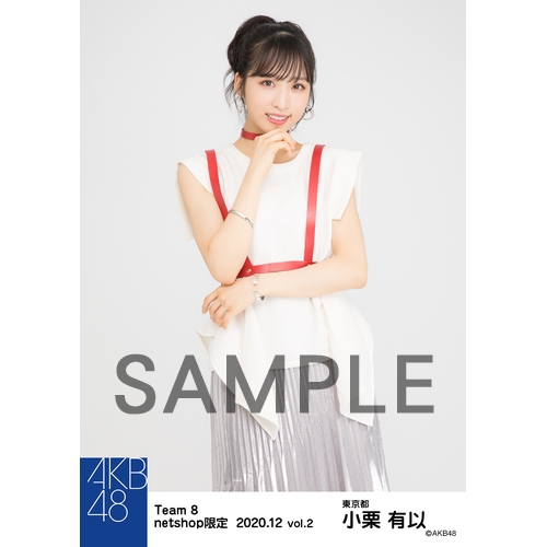 AKB48 チーム8 2020年12月度 net shop限定個別生写真5枚セットvol.2