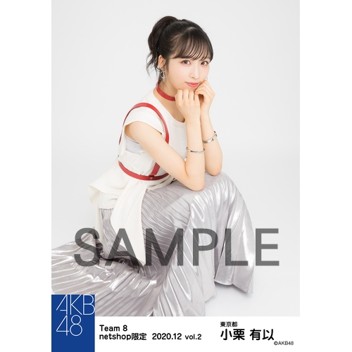 AKB48 チーム8 2020年12月度 net shop限定個別生写真5枚セットvol.2