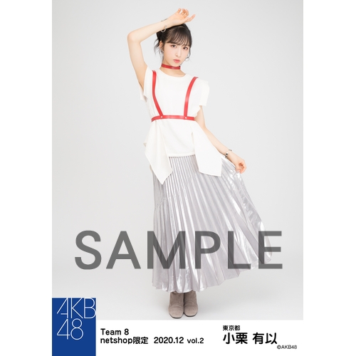 AKB48 チーム8 2020年12月度 net shop限定個別生写真5枚セットvol.2