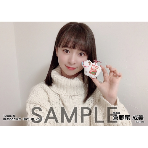 AKB48 チーム8 2021年1月度 net shop限定個別生写真5枚セットvol.2