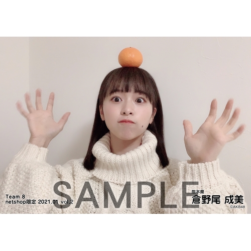 AKB48 チーム8 2021年1月度 net shop限定個別生写真5枚セットvol.2