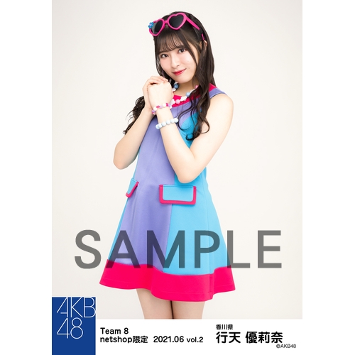 AKB48 チーム8 生写真　600枚以上 AKB48 チーム8 net shop限定 8周年記念個別生写真5枚セット