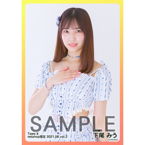 AKB48 チーム8 生写真セット 約500枚 AKB48 チーム8 生写真セット 約500枚