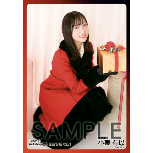 予約商品】AKB48 チーム8 2021年12月度 net shop限定個別生写真5枚