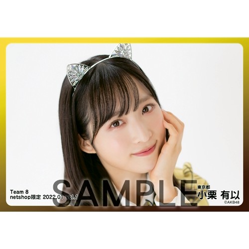 予約商品】AKB48 チーム8 2022年1月度 net shop限定個別生写真5枚