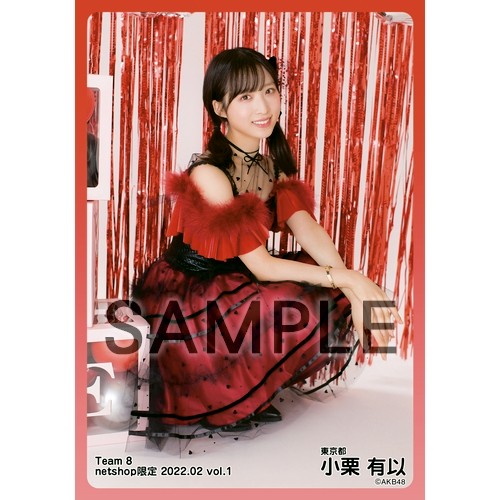 予約商品】AKB48 チーム8 2022年2月度 net shop限定個別生写真5枚