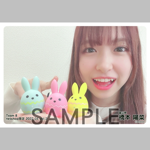 AKB48 チーム8 2022年4月度 net shop限定個別生写真5枚セットvol.2