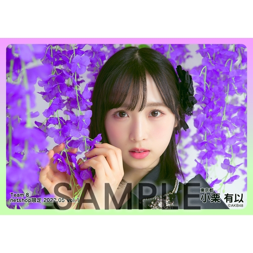 予約商品】AKB48 チーム8 2022年5月度 net shop限定個別生写真5枚