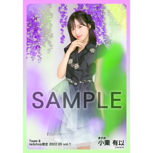 予約商品】AKB48 チーム8 2022年5月度 net shop限定個別生写真5枚