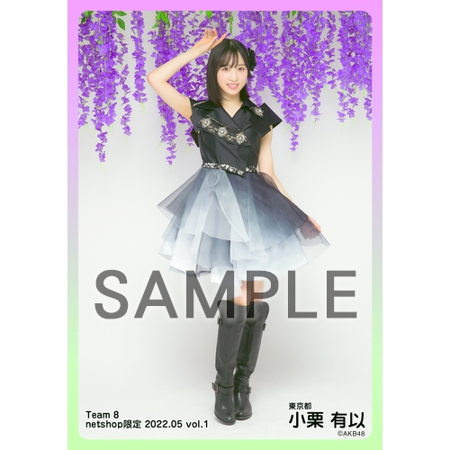 予約商品】AKB48 チーム8 2022年5月度 net shop限定個別生写真5枚